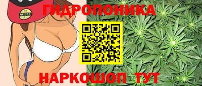 кокс Нарткала