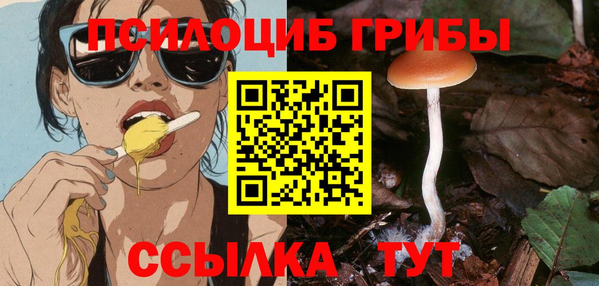 Псилоцибиновые грибы MAGIC MUSHROOMS  Вход с VPN  Тихорецк 